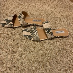 Steve Madden Snake skin sandals